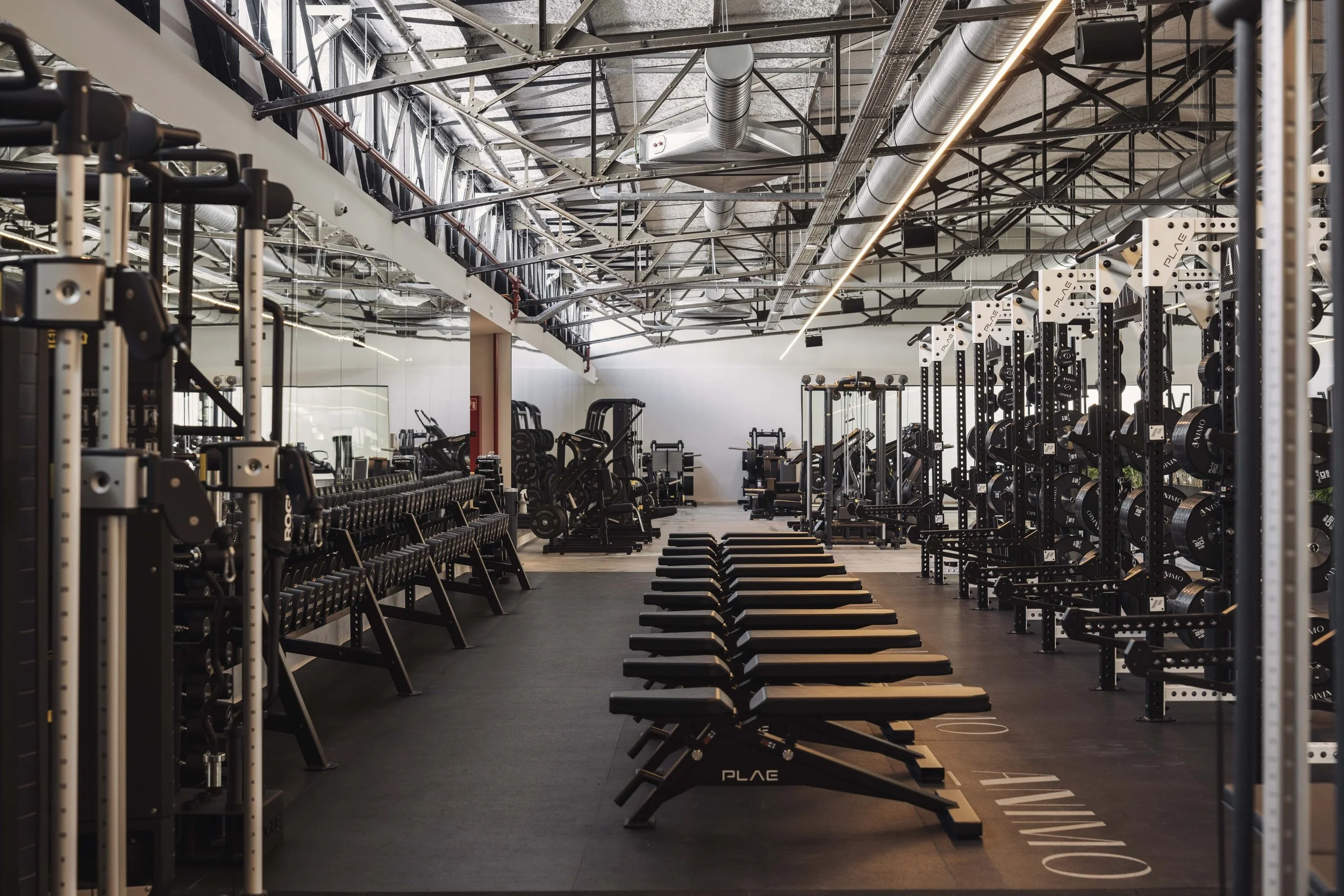 Performance Club Social Wellness & Performance Club ᴺᴱᵂ — ANIMO Studios