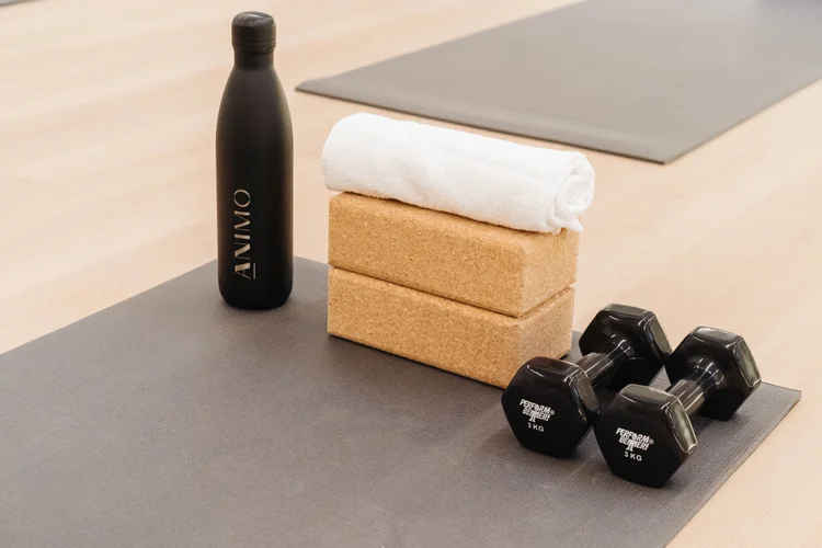 The Studio Animo Studios