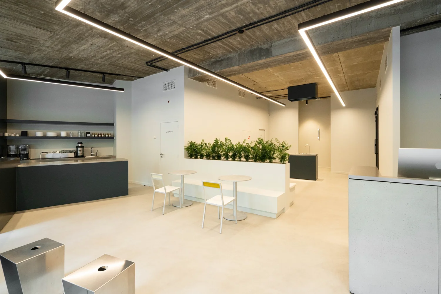 The Studio — ANIMO Studios