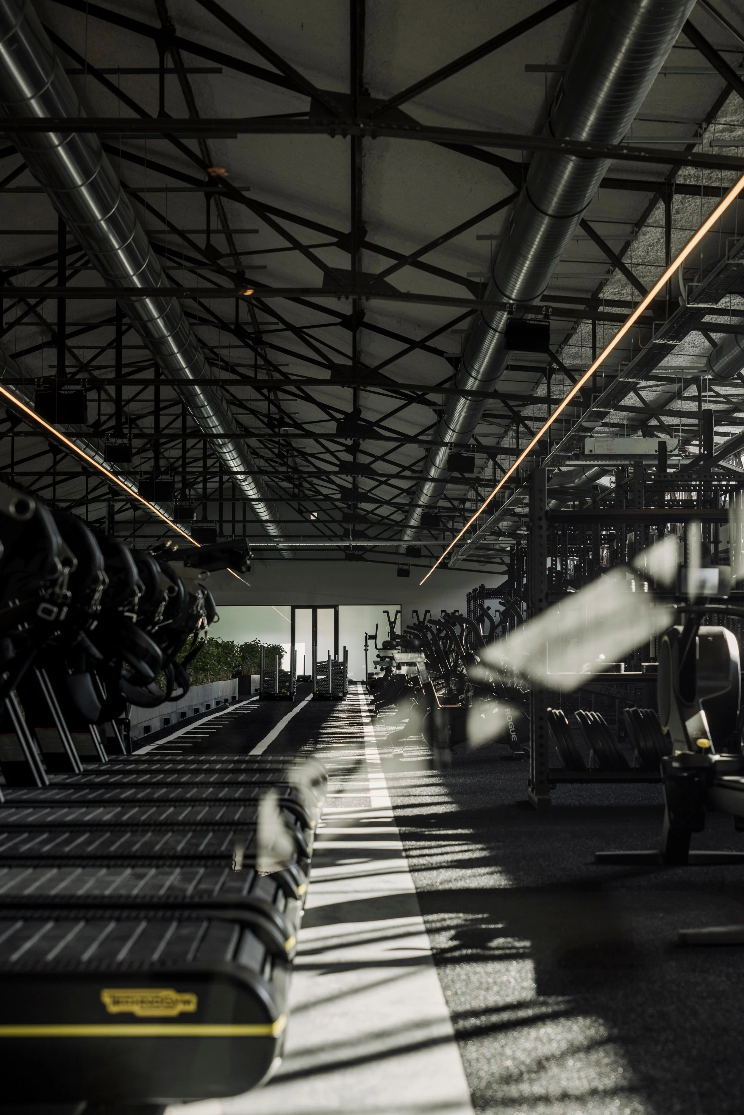 Social Wellness & Performance Club ᴺᴱᵂ — ANIMO Studios