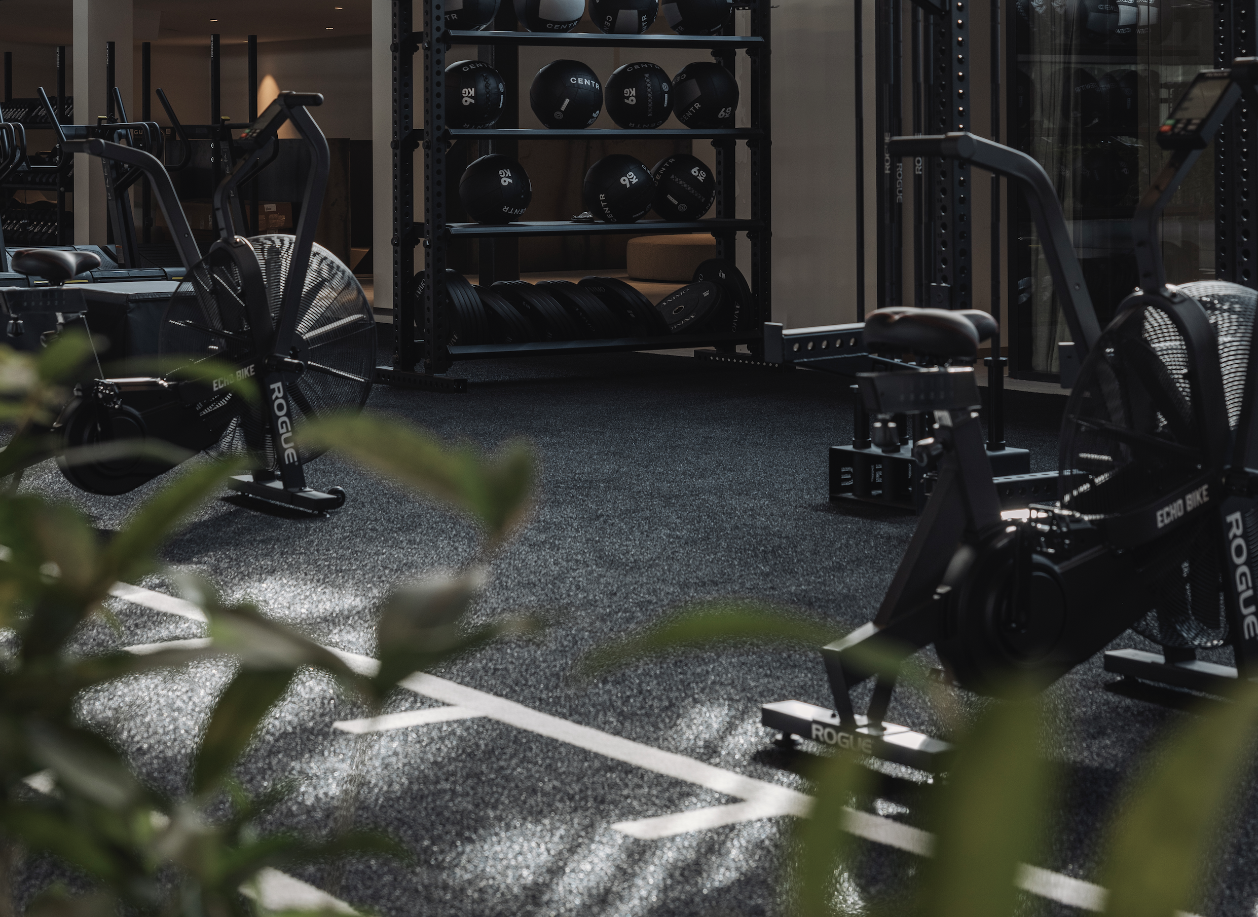 Personal training — ANIMO Studios