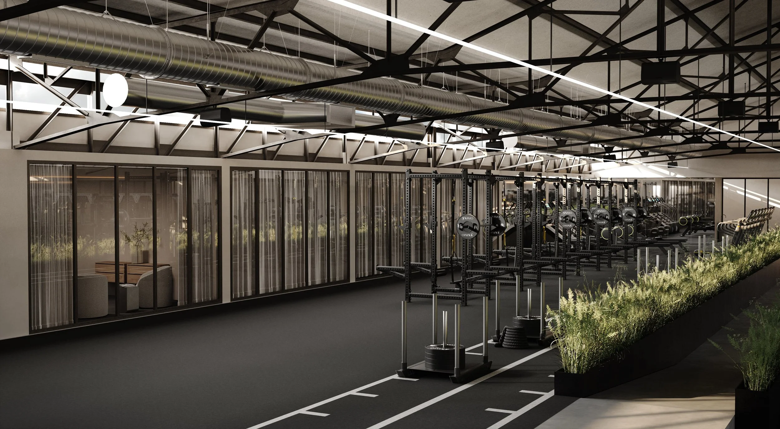 Social Wellness & Performance Clubᴺᴱᵂ — ANIMO Studios