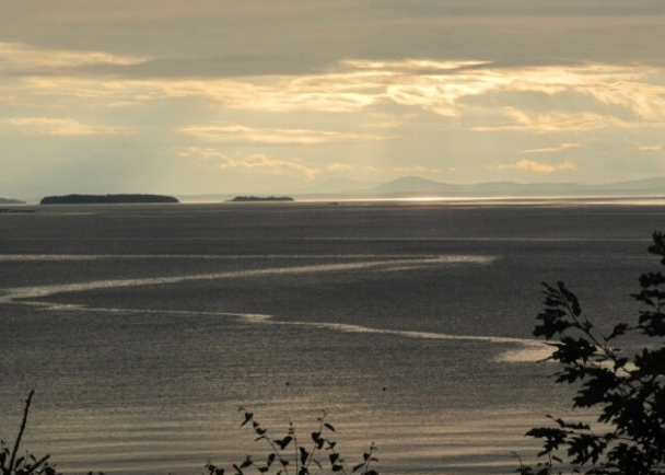 Prospect and Refuge