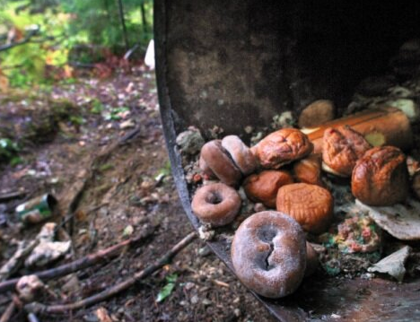 Where are all the doughnuts?
