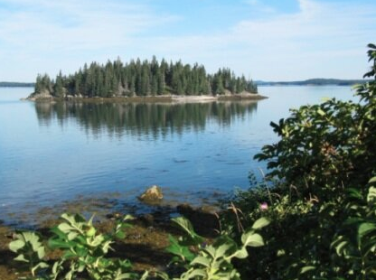 Our Bonebound Island(s)