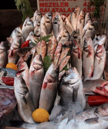 Gone Fish(ing)