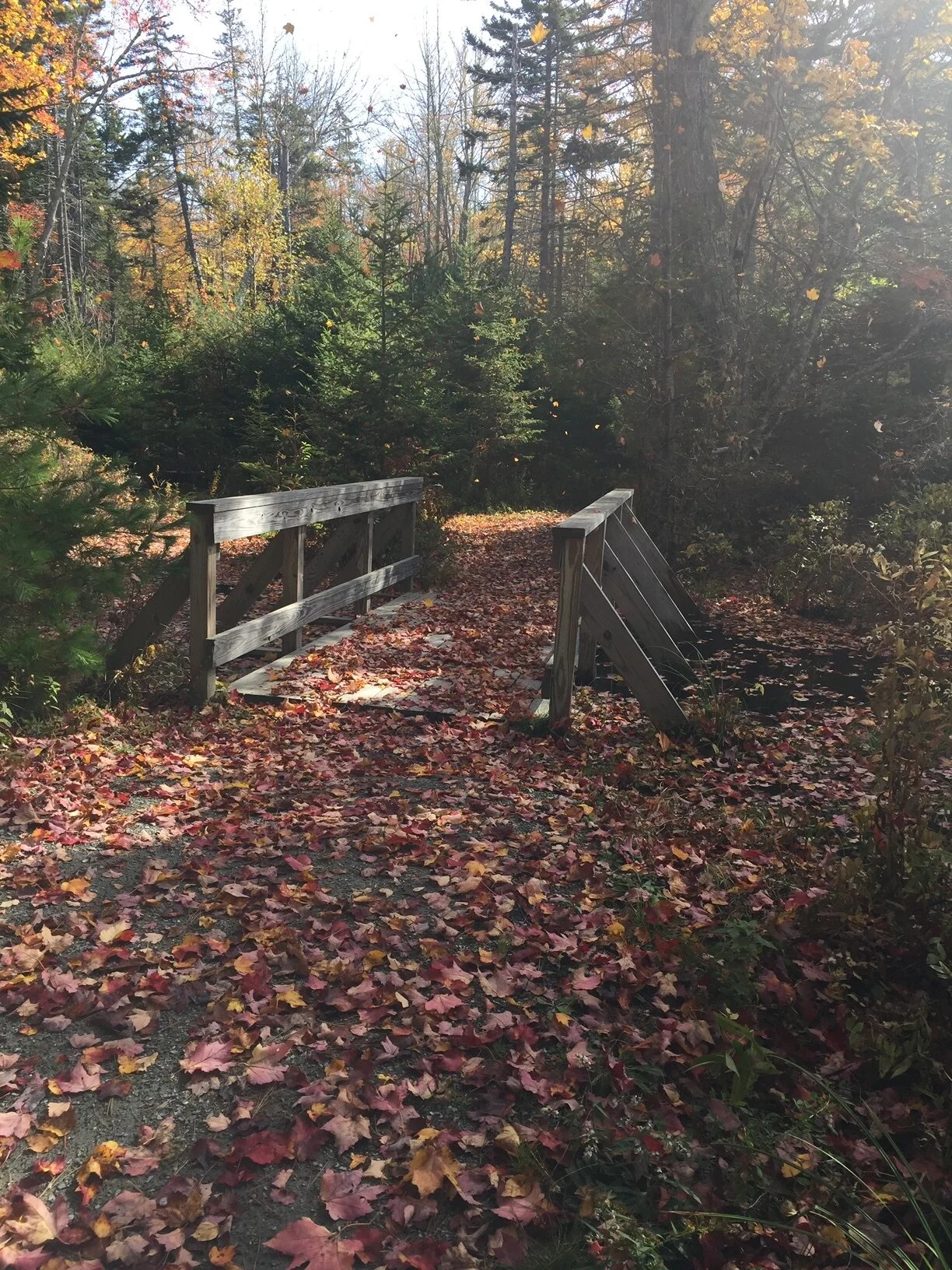 Up is Down. Down is Up. Or Something Like That. 