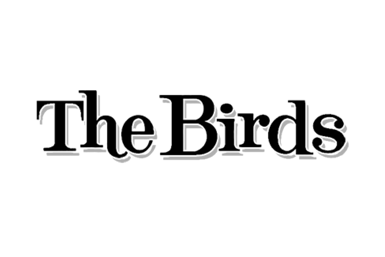 Universal Brands_The Birds.png