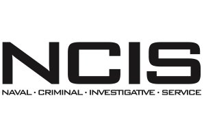 ViacomCBS TV Show Licensing - NCIS.jpeg