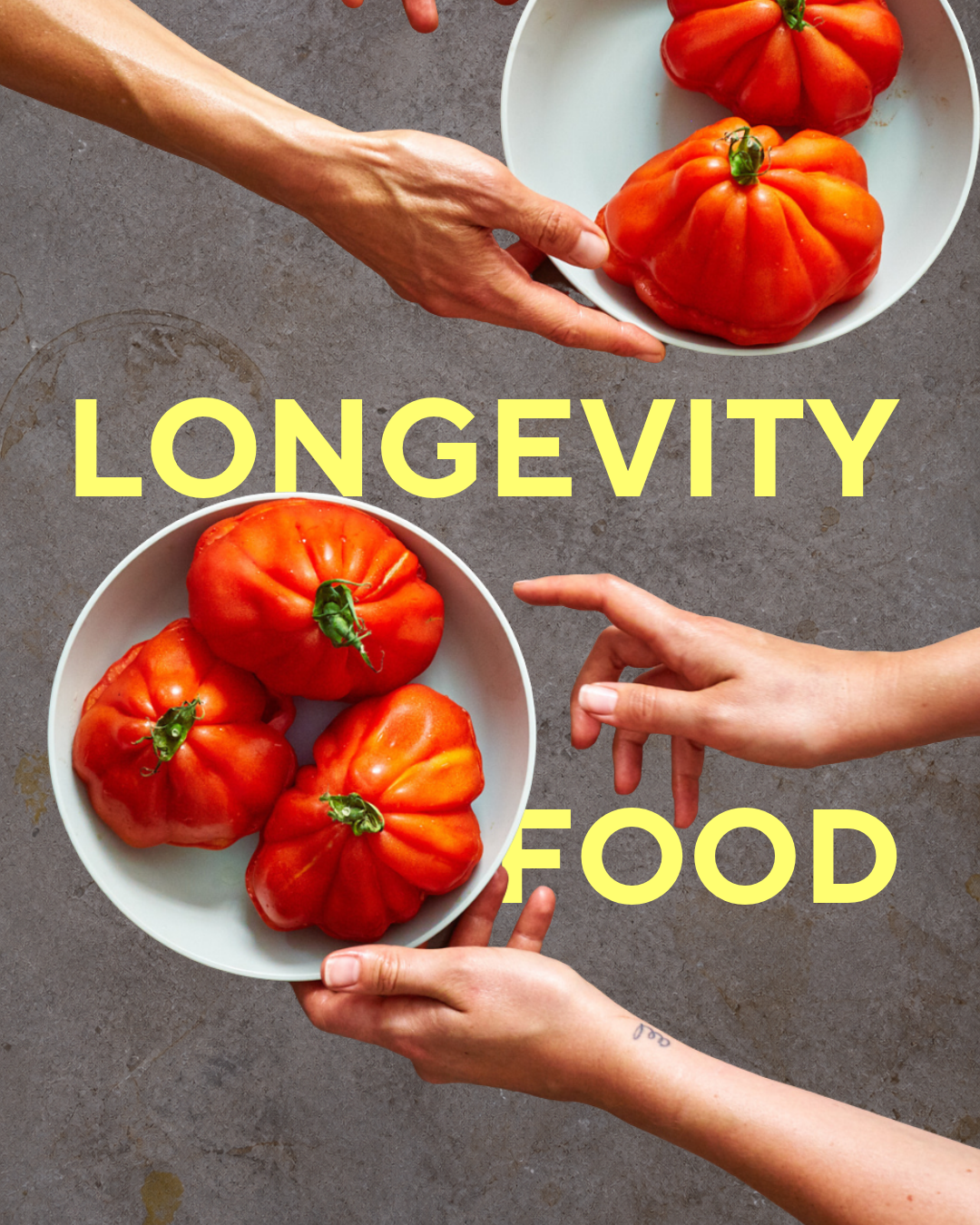 Longevity Food - A Curious Food Masterclass