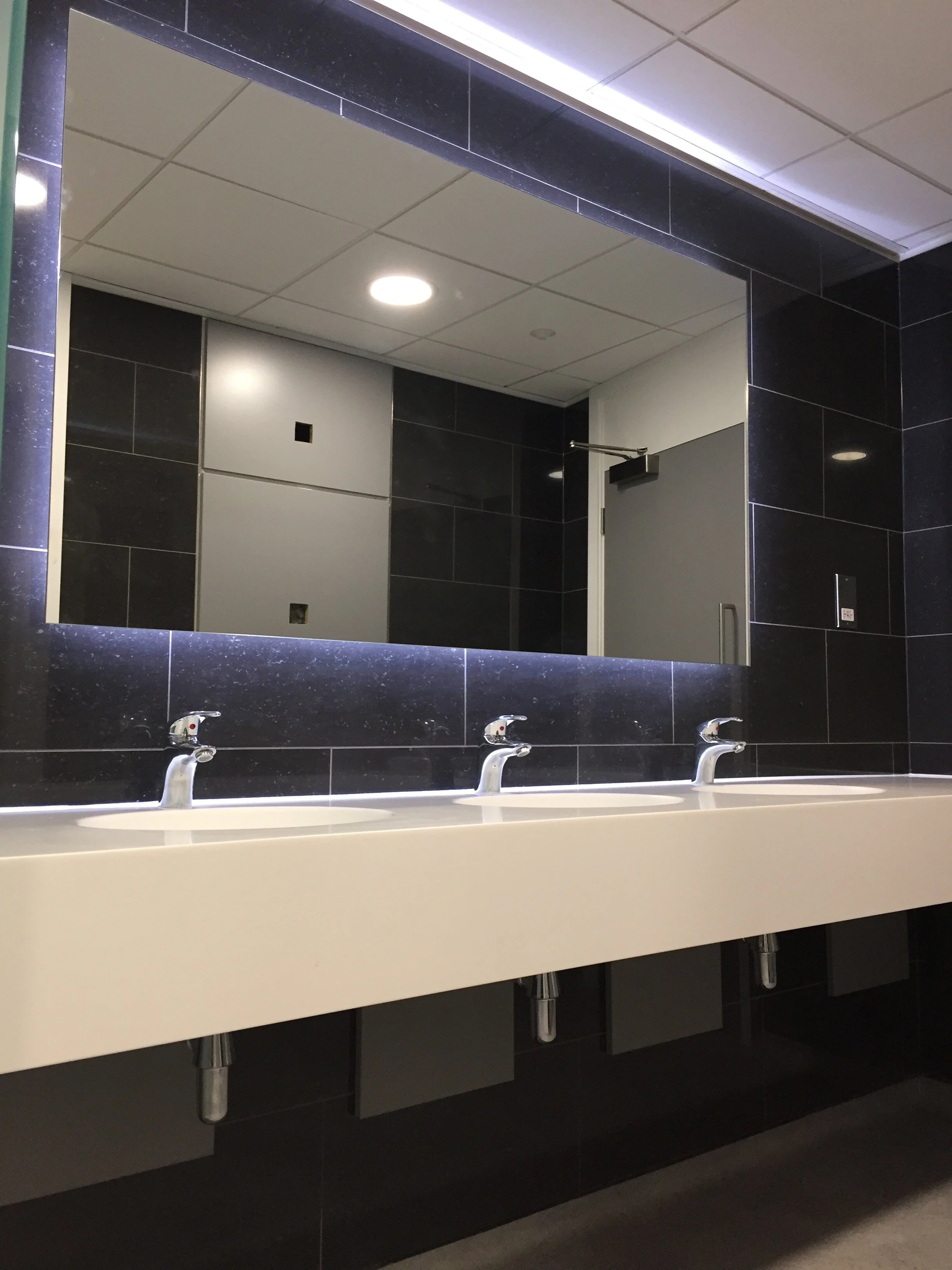 Corporate office building toilet and shower refurbishment