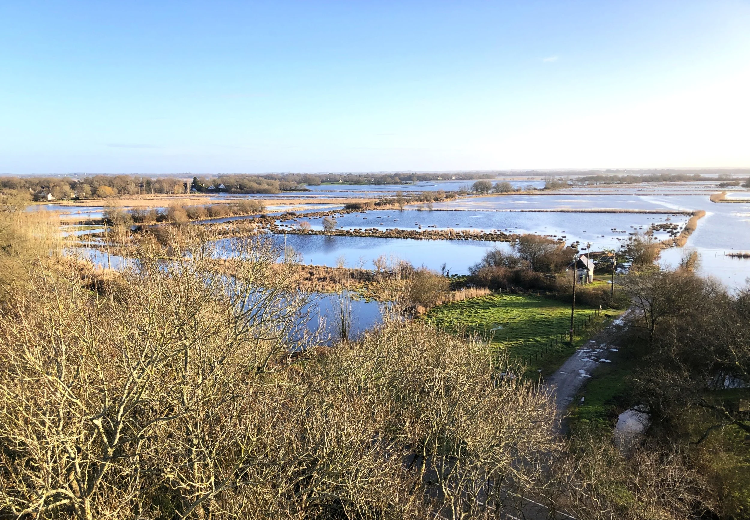 La Grande Brière : 24 000 hectares à préserver entre marais, bocages et patrimoine