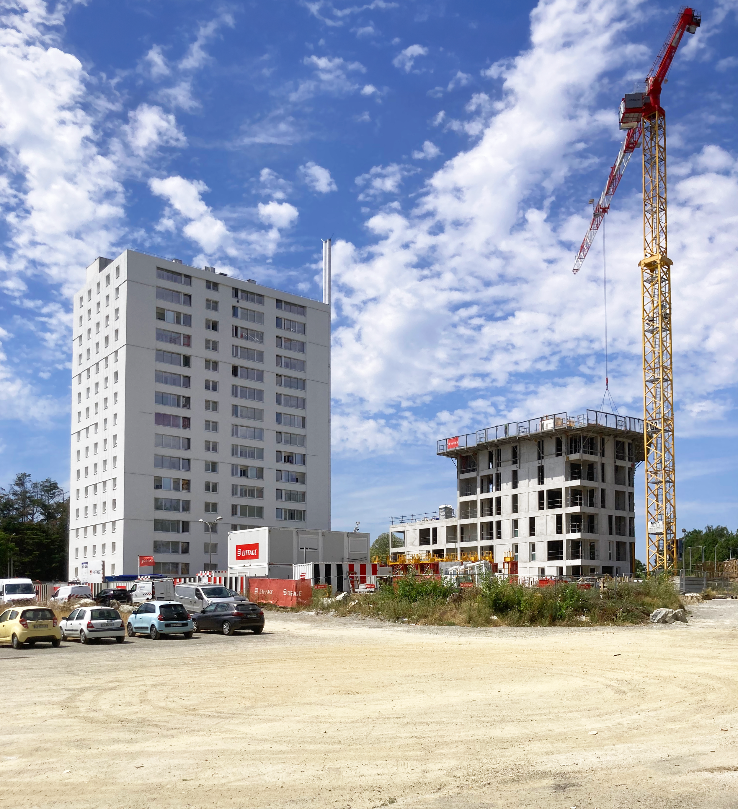 [Chantier] Bois du Château à Lorient (56)