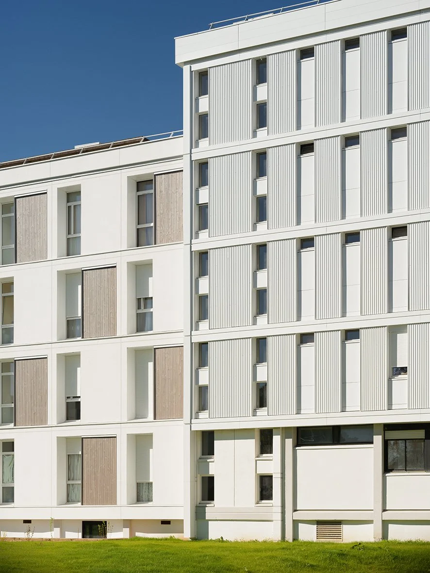 Takuji_Shimmura_Nomade (3).jpg