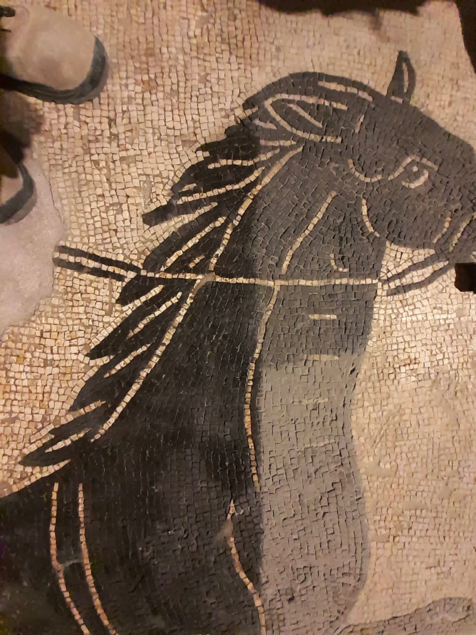 Palais Farnese_Laurent Delfour_YJLX0830.JPG