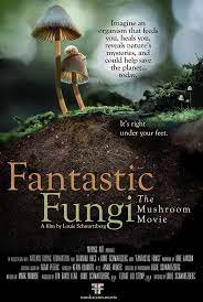 fantastic fungi.jpeg