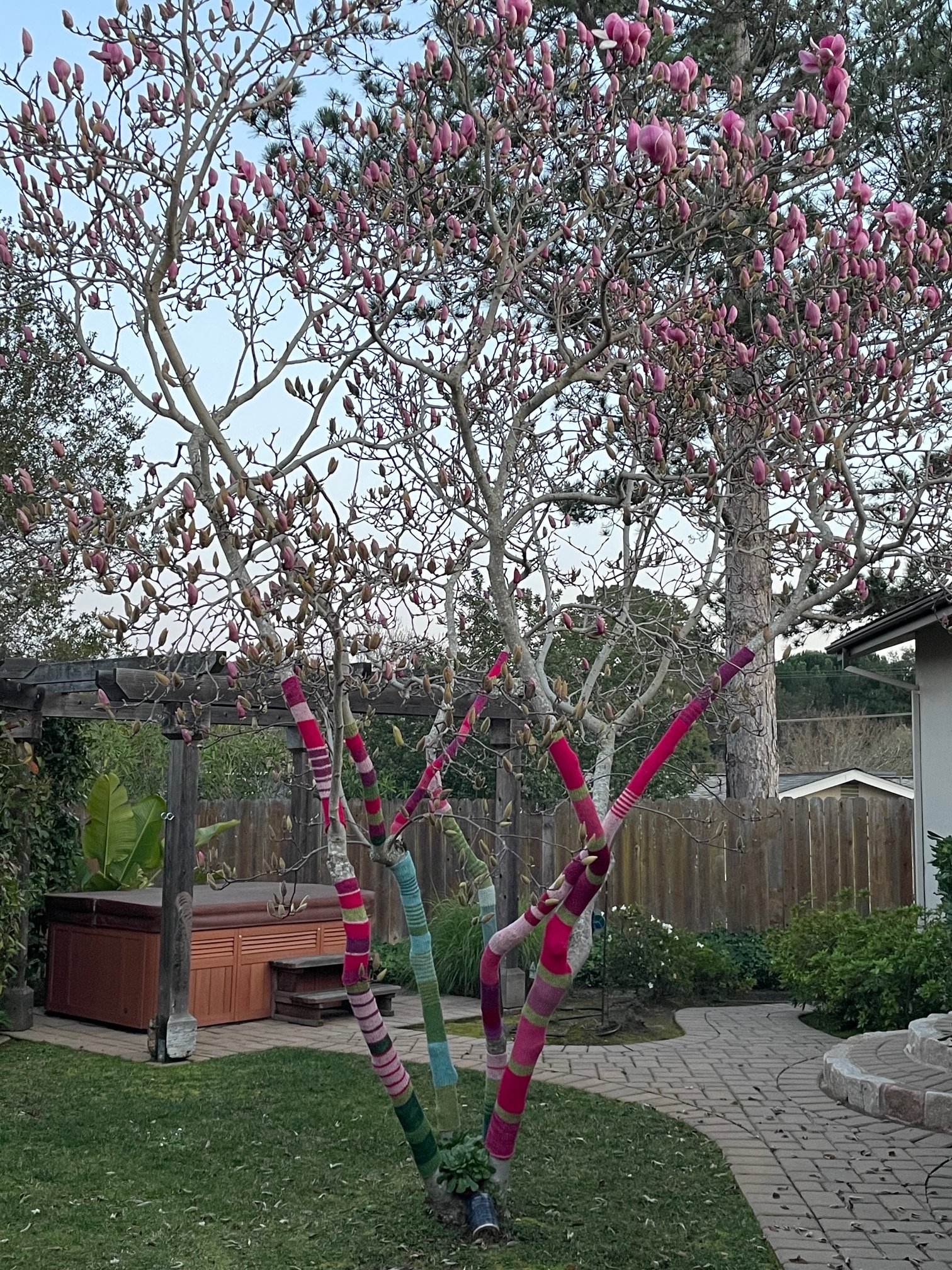 whole tree yarnbomb.jpg