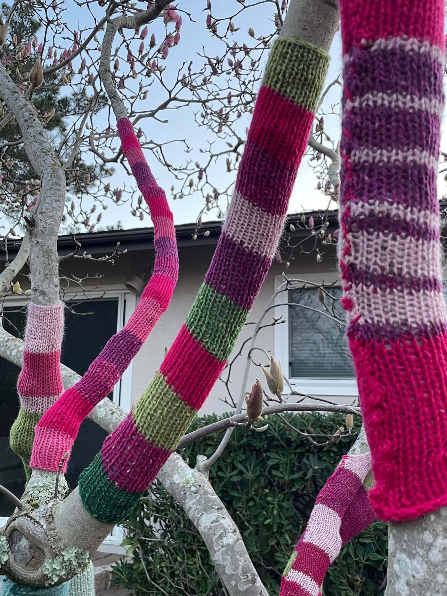 close up of yarnbomb.jpg