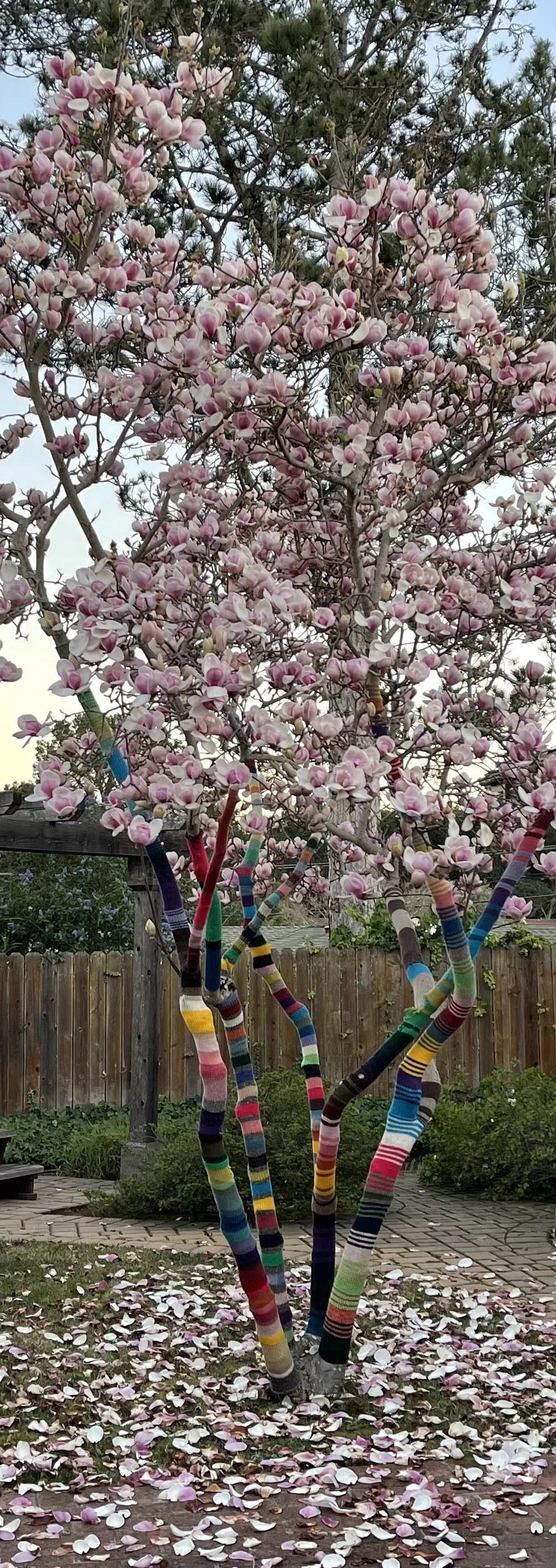 rainbow yarnbomb.jpg