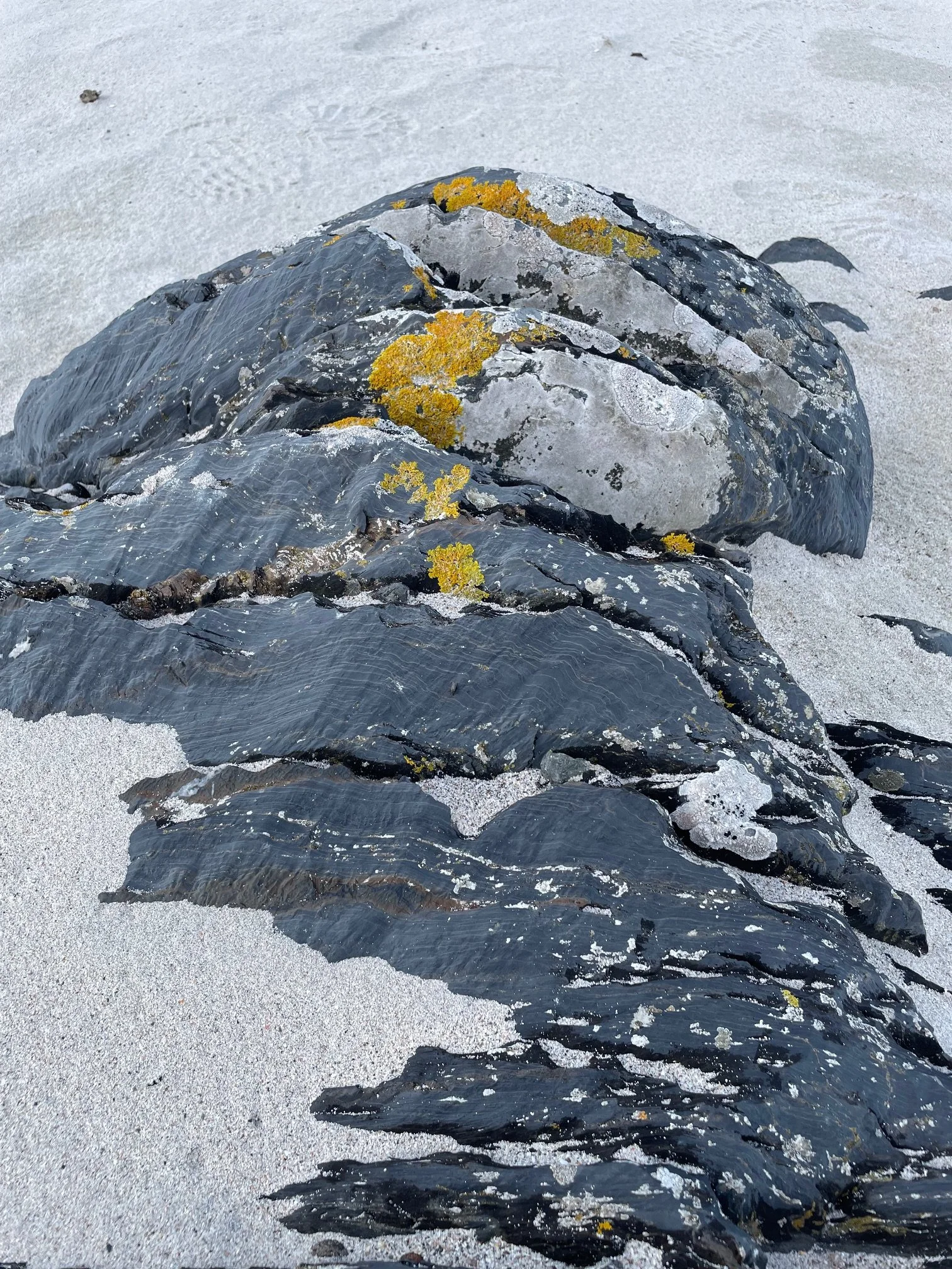 yellow rocks.jpg