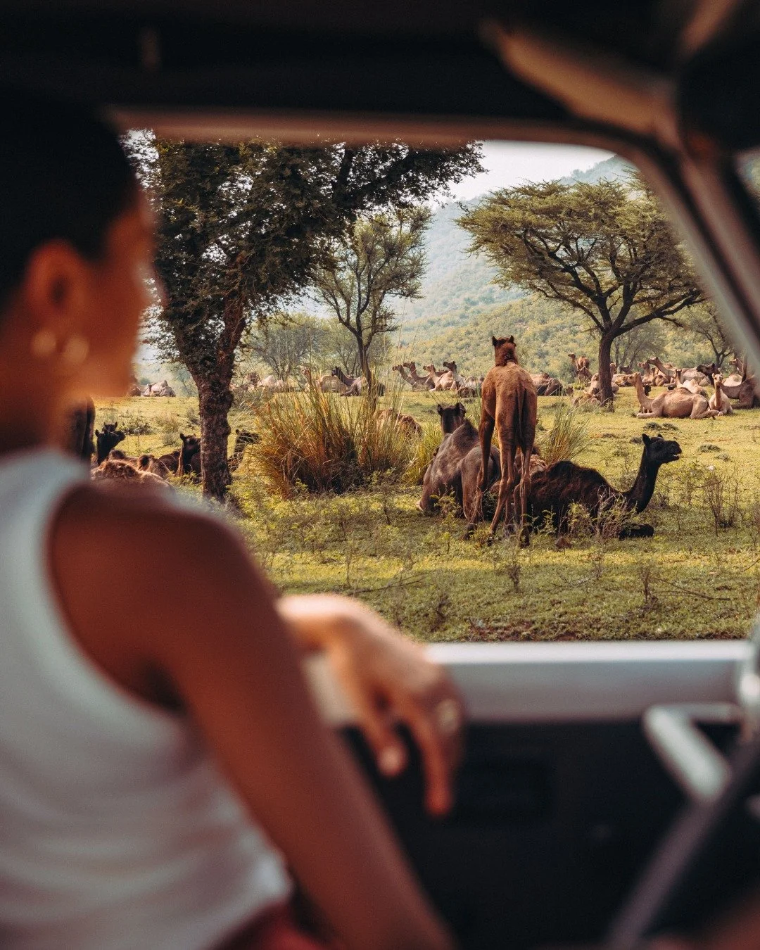 Where stillness meets the wild. A quiet moment on the edge of adventure at @AlilaFortBishangarh @AlilaHotels.