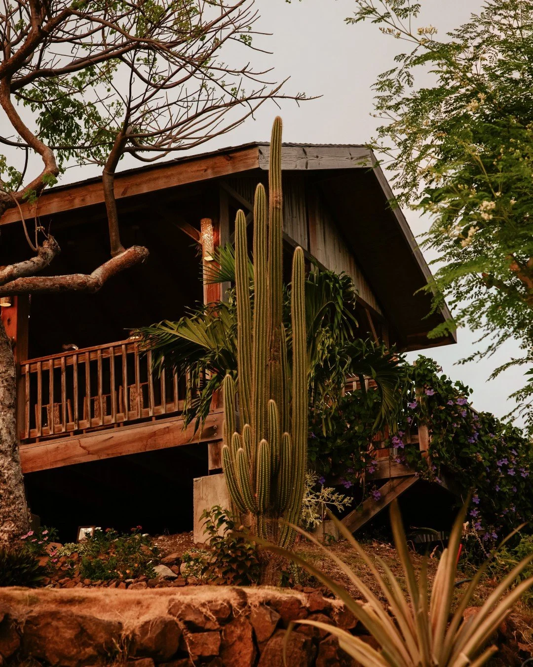 A hillside sanctuary where flavor, ritual, and nature exist in harmony.

Experience I-TAL at @TheBodyHoliday.