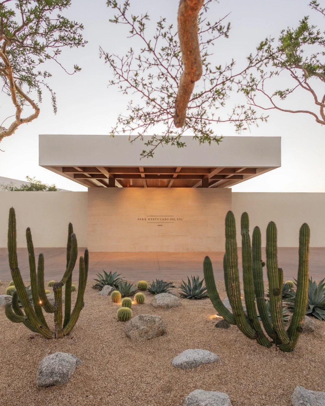 Grounded in the landscape.

Thoughtful design meets the natural rhythm of Cabo at @ParkHyattCaboDelSol
