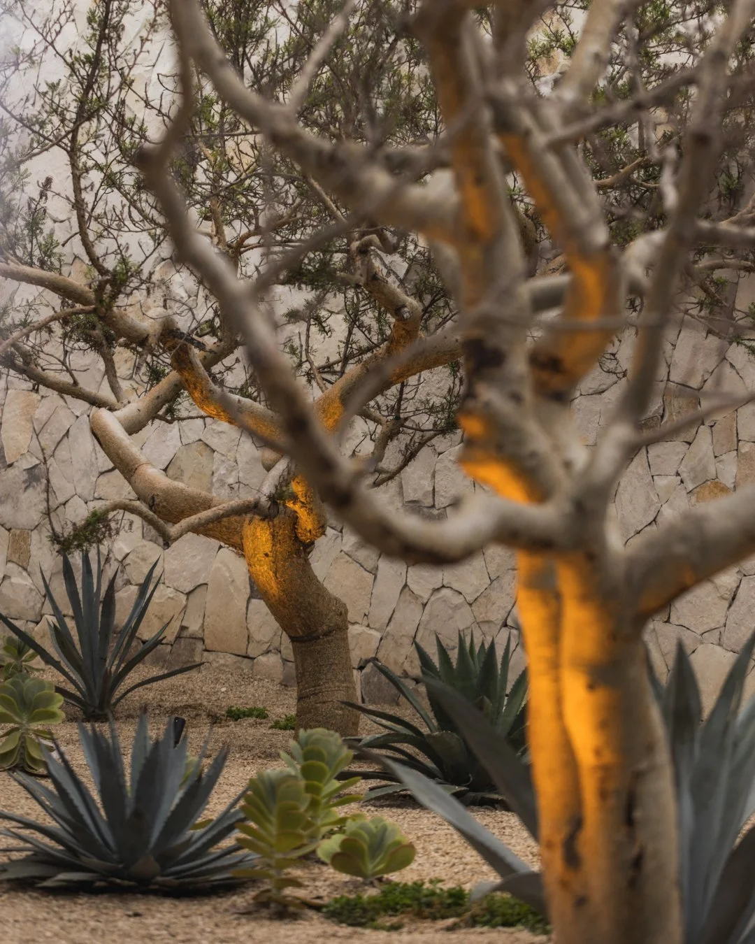 Spring settles in at @ParkHyattCaboDelSol.

Longer light over the Sea of Cortez. Desert greens warmed by the sun. Evenings that linger just a little longer.

A new season shaped by open horizons, golden hours, and time spent exactly where you want to