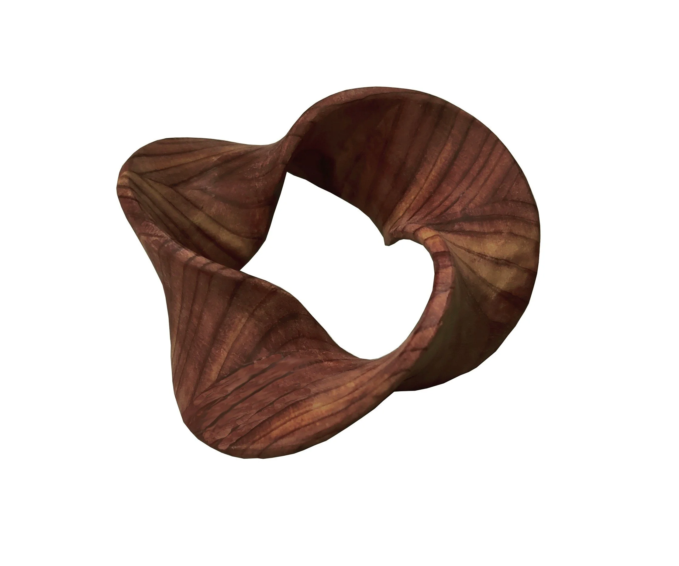 Mobius strip 3π sculpture