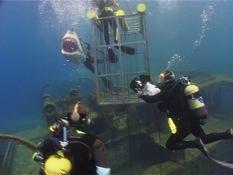Shark Cage Making of_frame2.jpeg