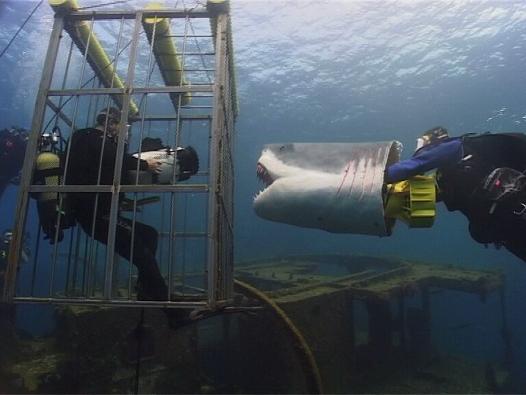 Shark Cage Making of_frame1.jpeg