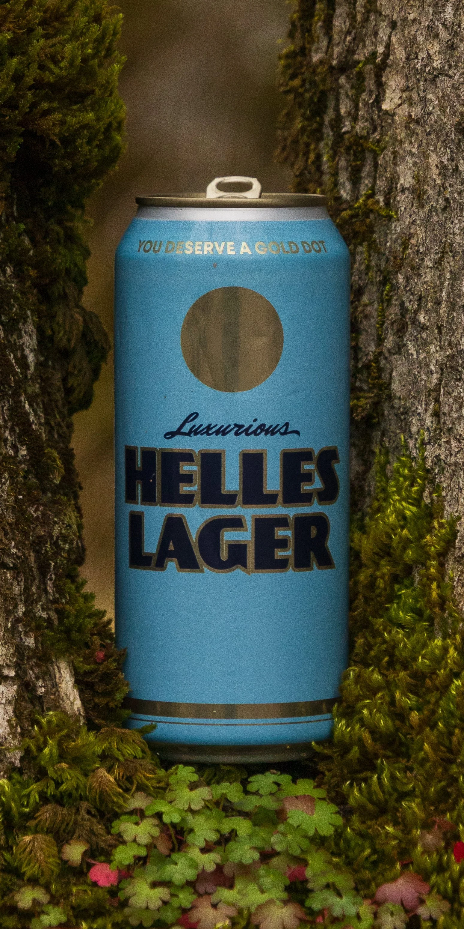 Heater Allen - Gold Dot Helles Lager - Baskett Slough