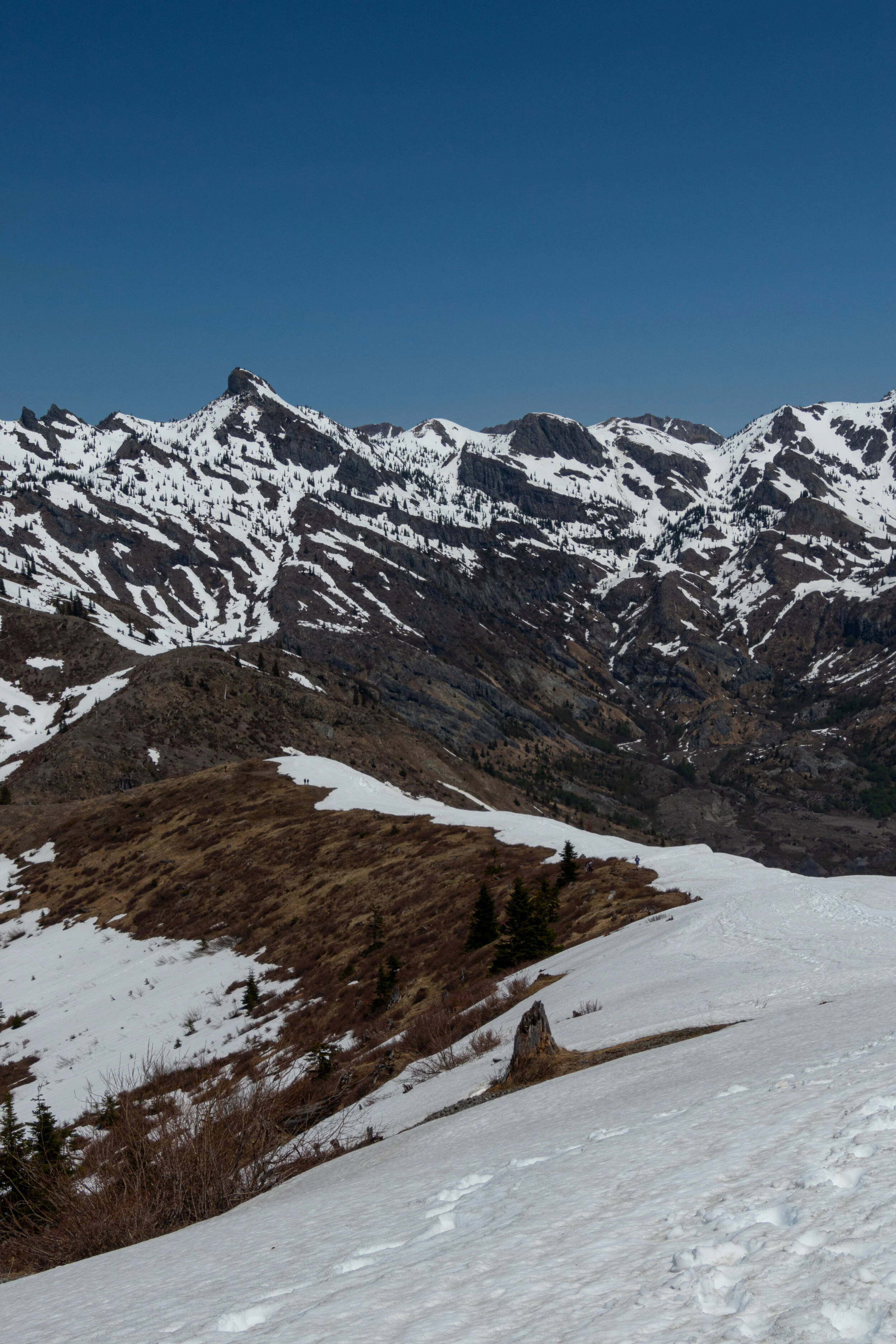 View back from Harry's Ridge
