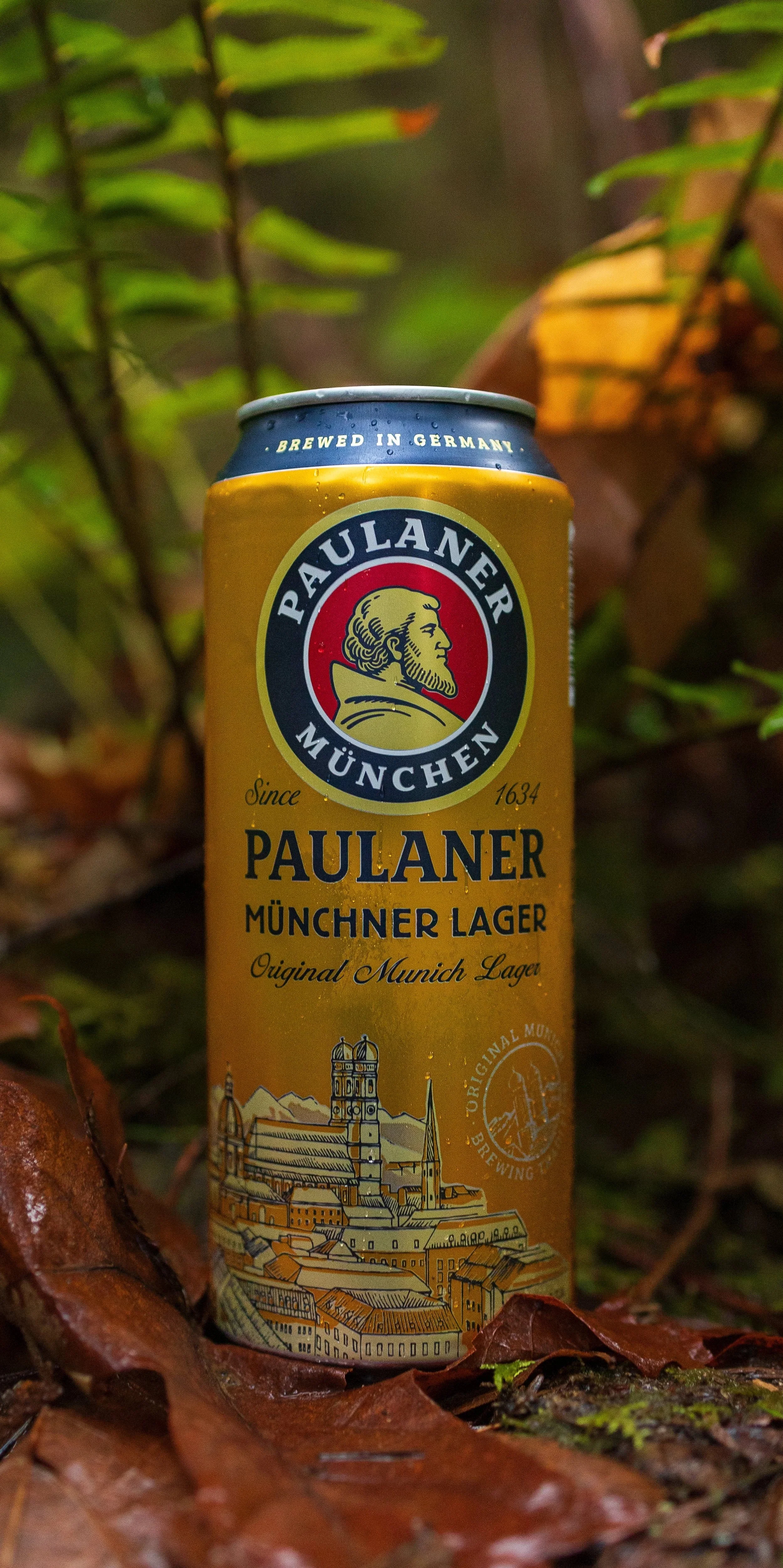 Paulaner Munchner Lager - McDowell Creek Falls Trail