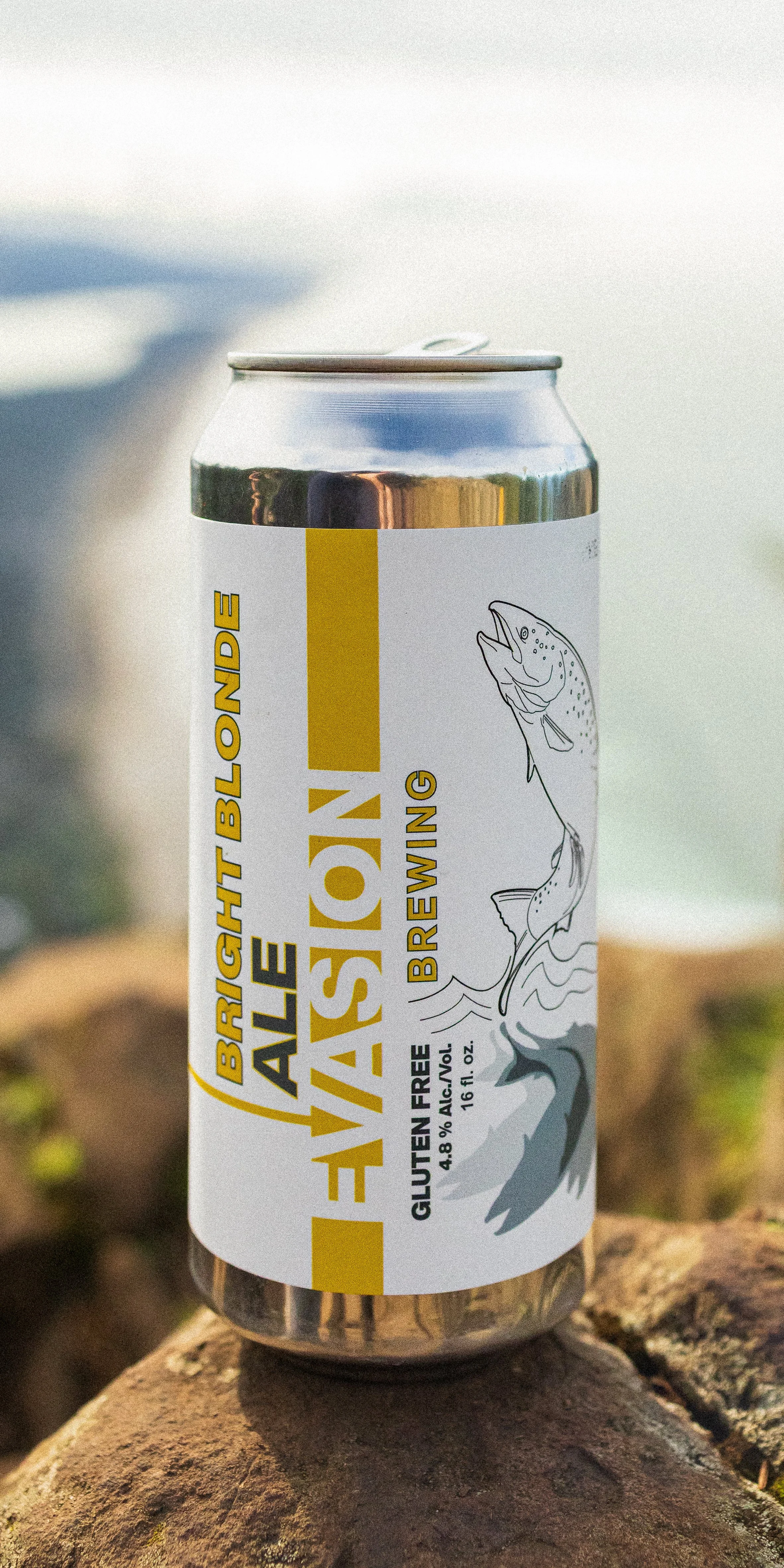 Evasion Brewing - Bright Blonde Ale - Neahkahnie Mountain