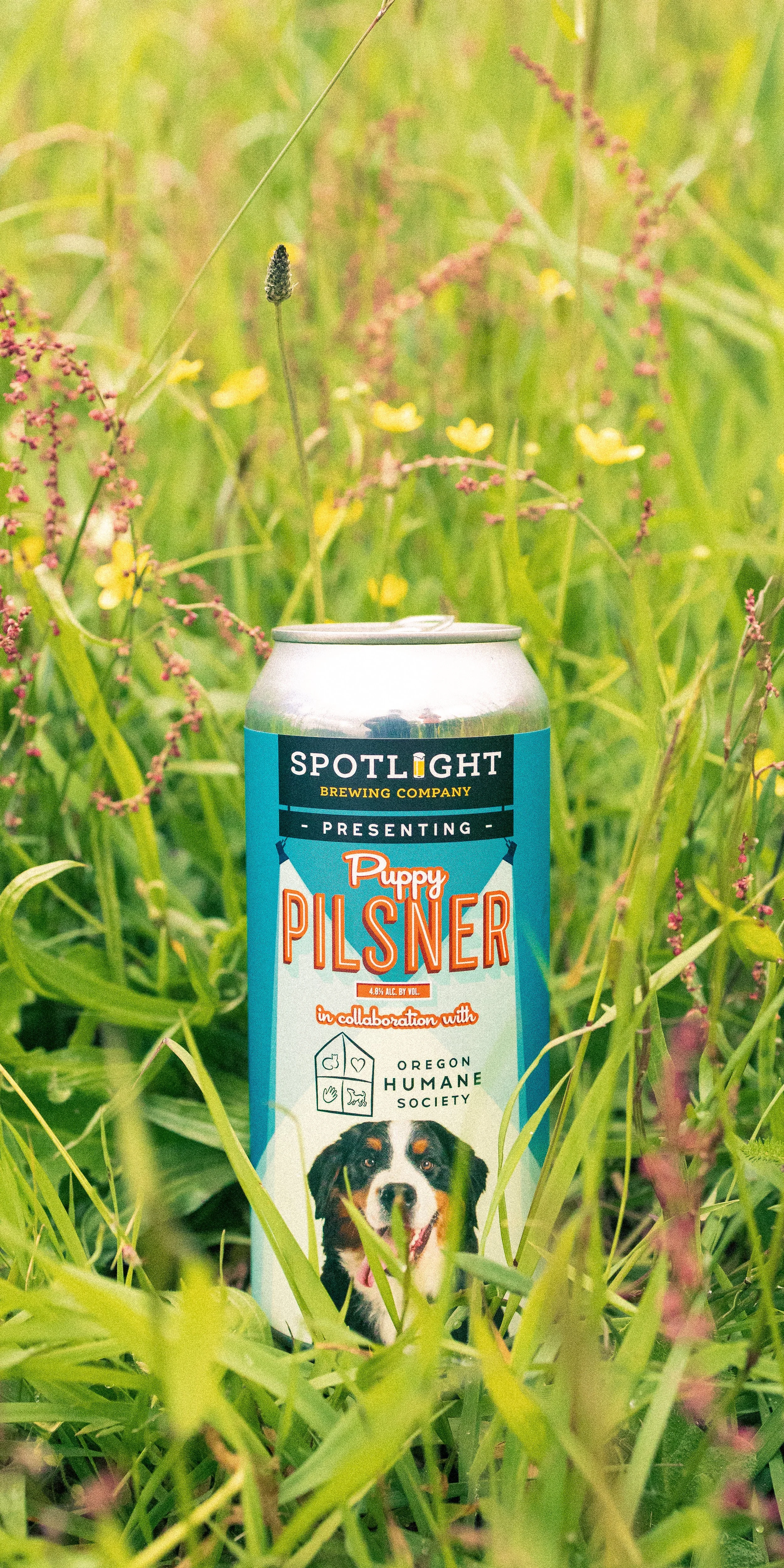 5. Cascade Head Trail Beer.jpg