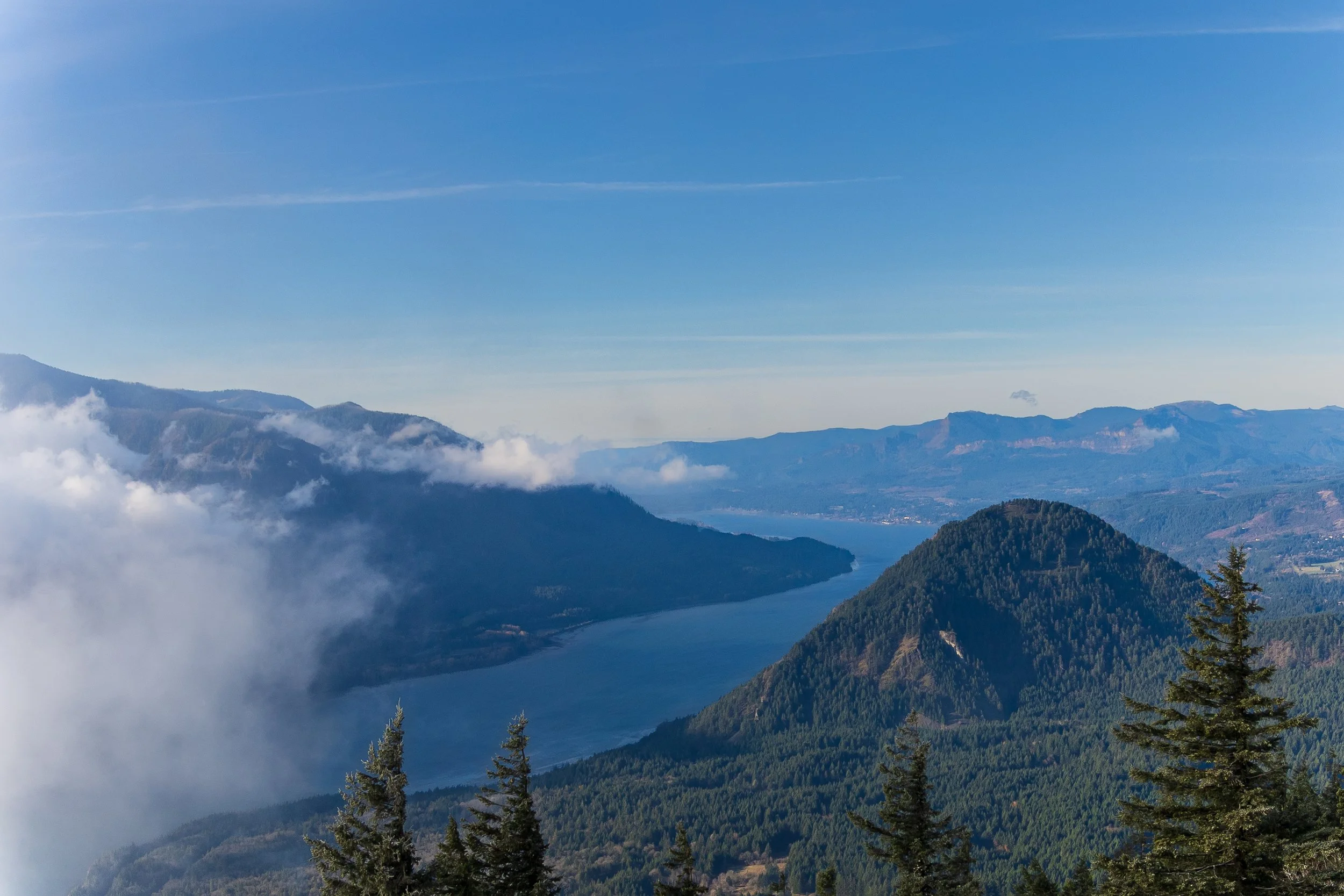 View West from Dog Mountain