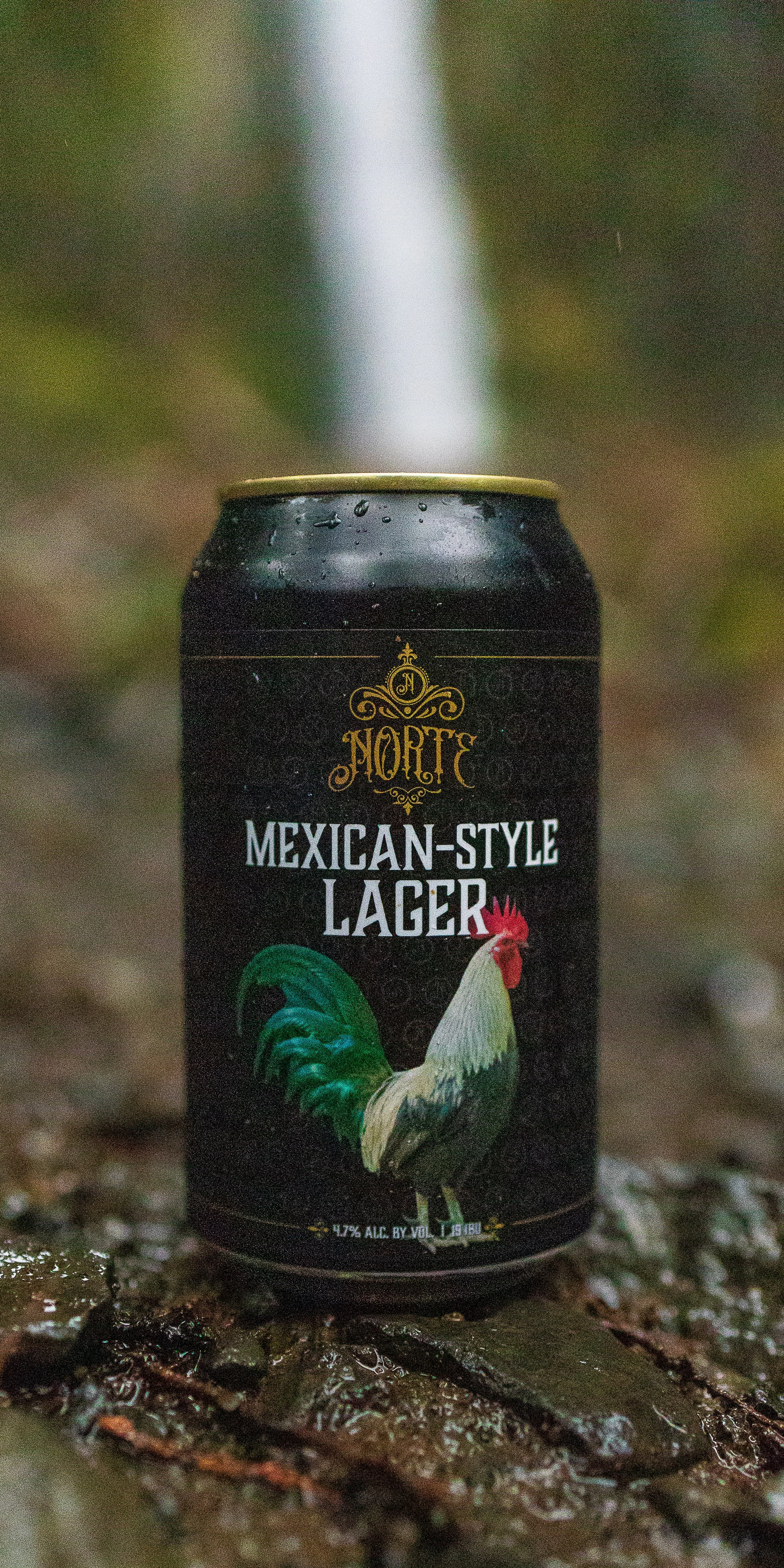 Norte Mexican-Style Lager - Dry Creek Falls (PCT)