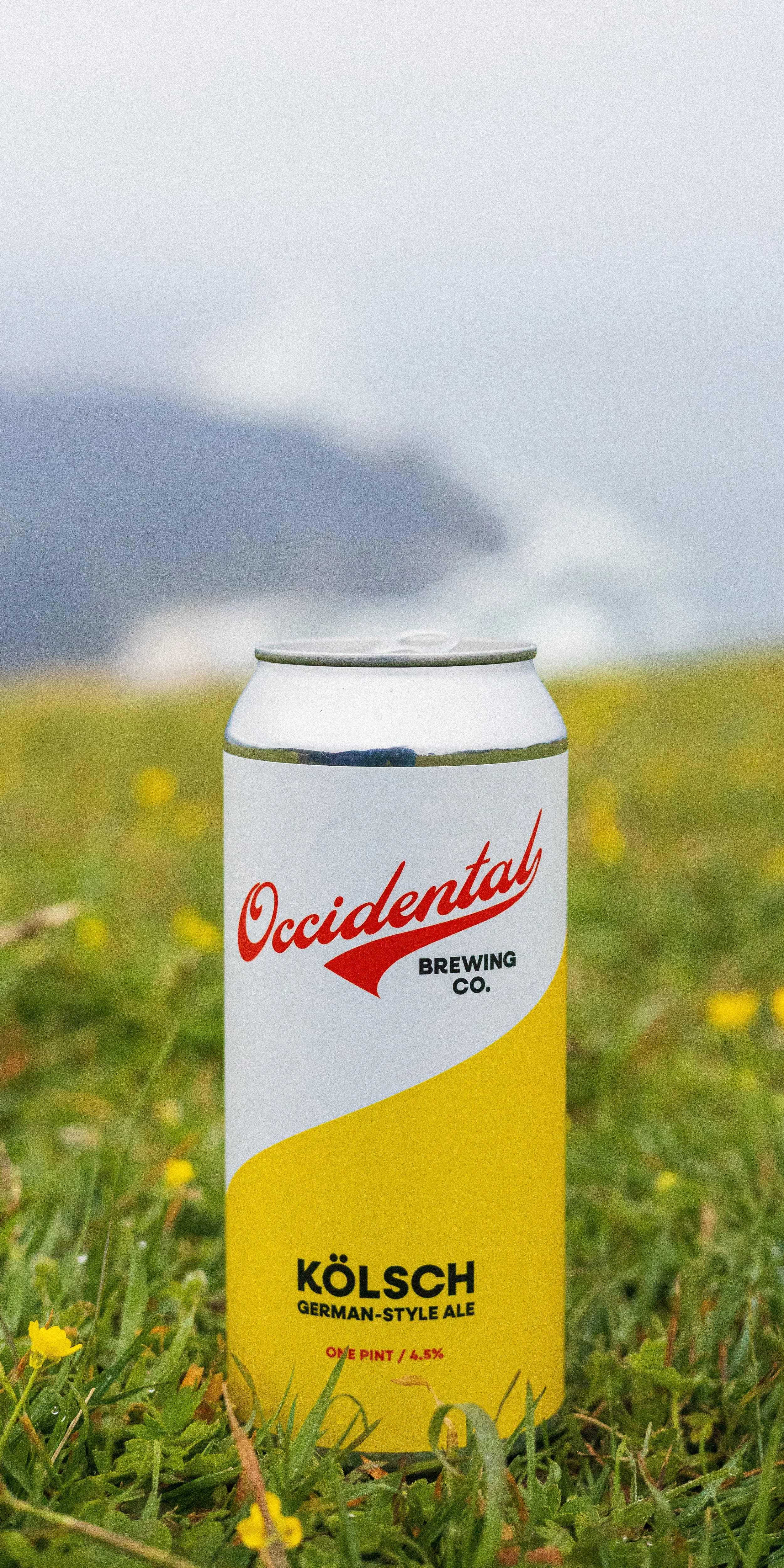 3. Cascade Head - Trail Beers.jpg