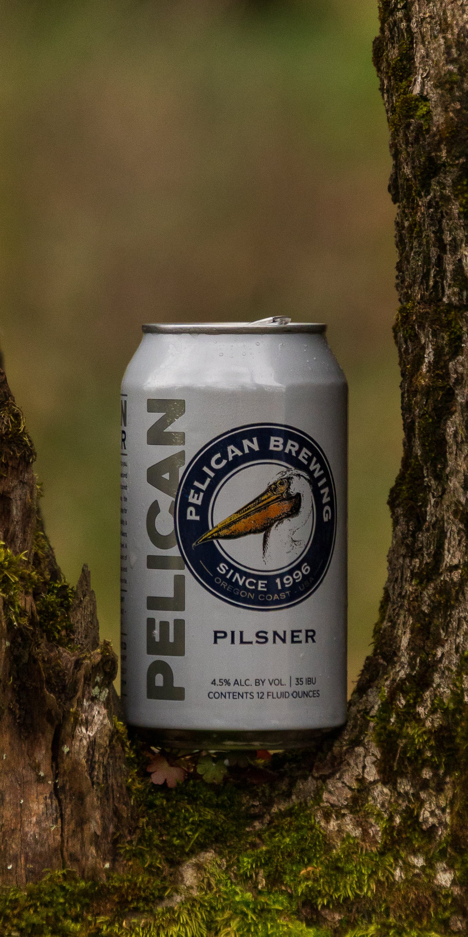 Pelican Brewing - Pilsner - Baskett Slough