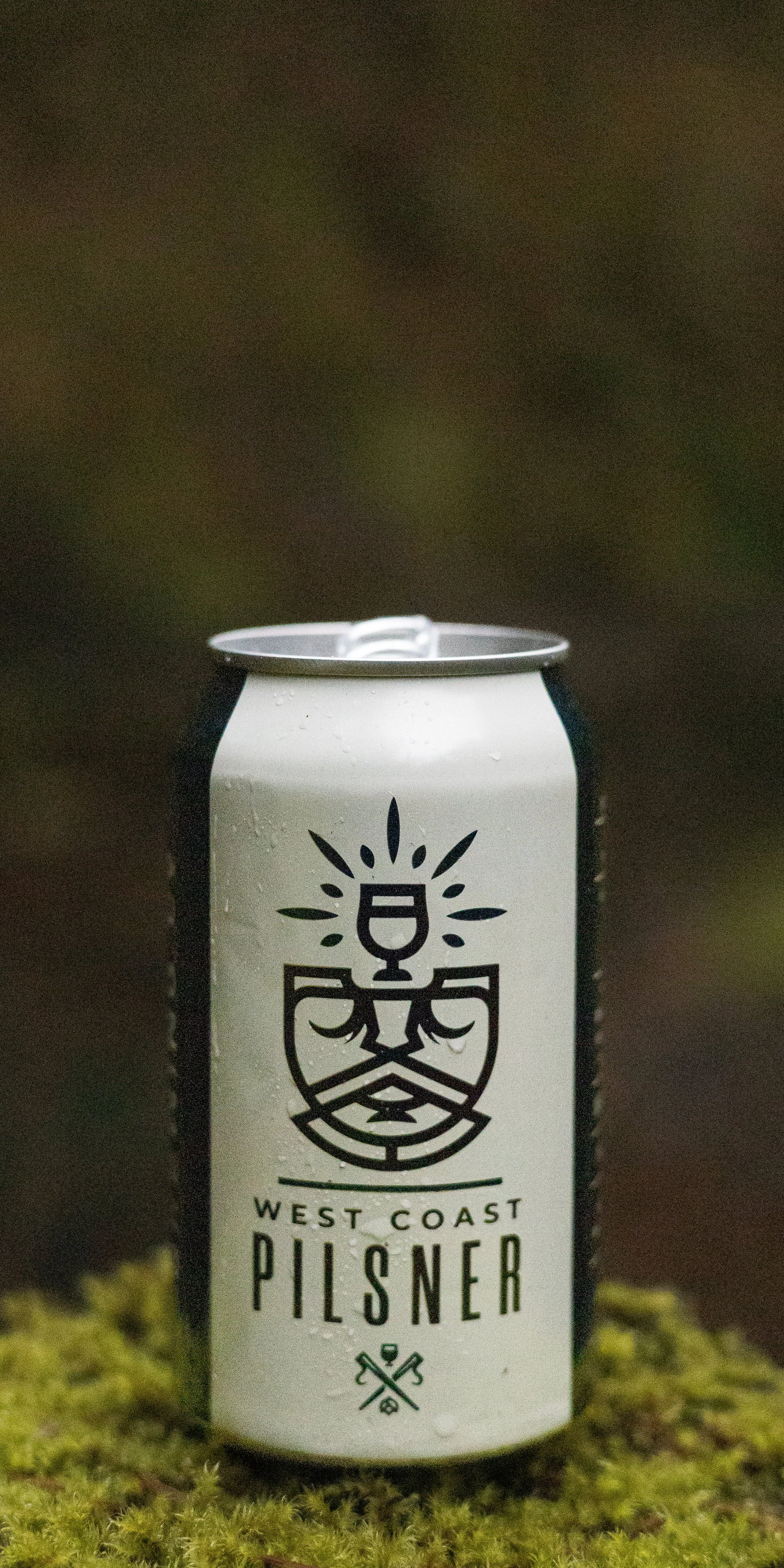 Steeplejack Brewing - West Coast Pilsner - Silver Falls