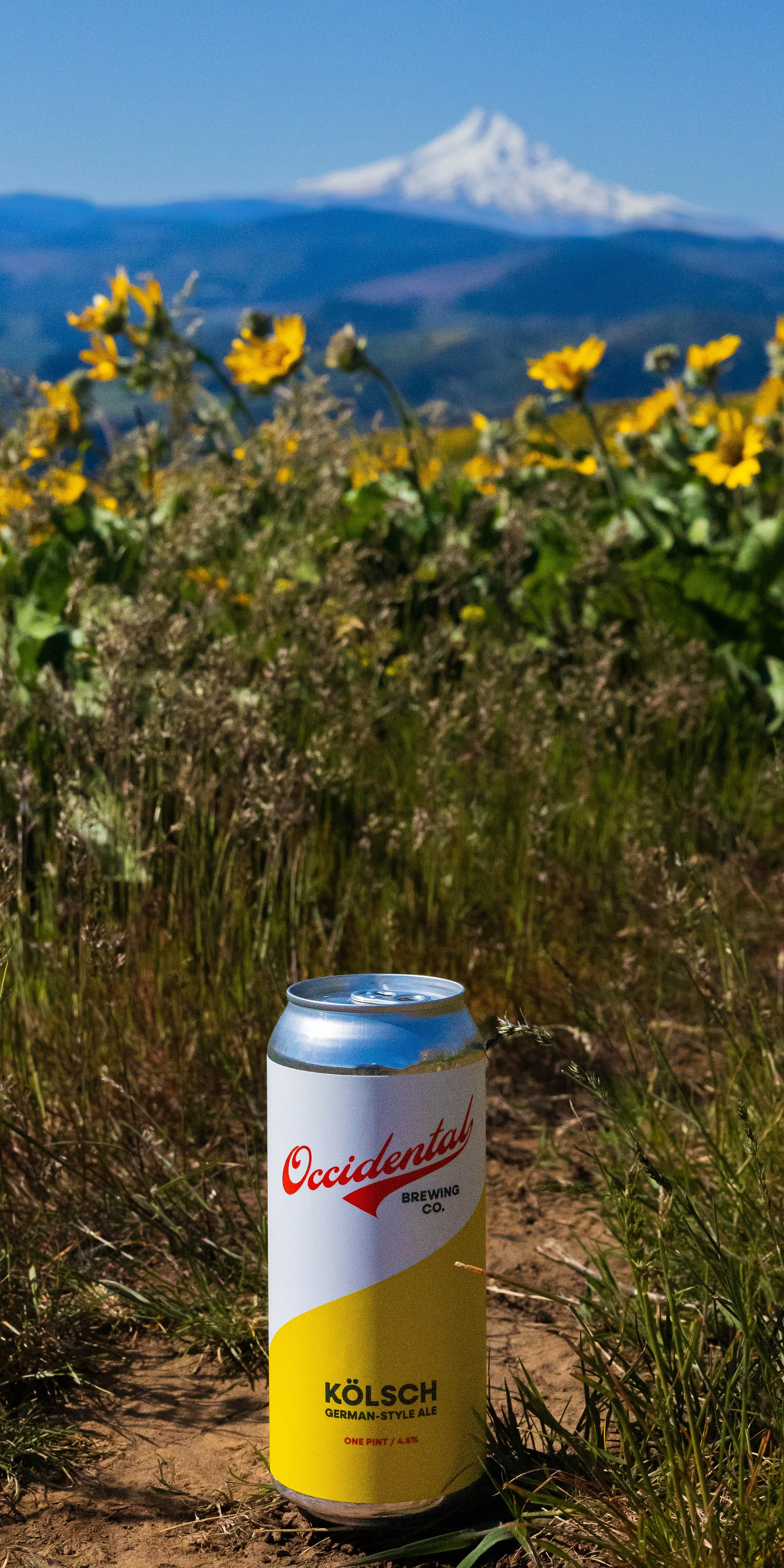 2. Coyote Wall - Trail Beer.jpg