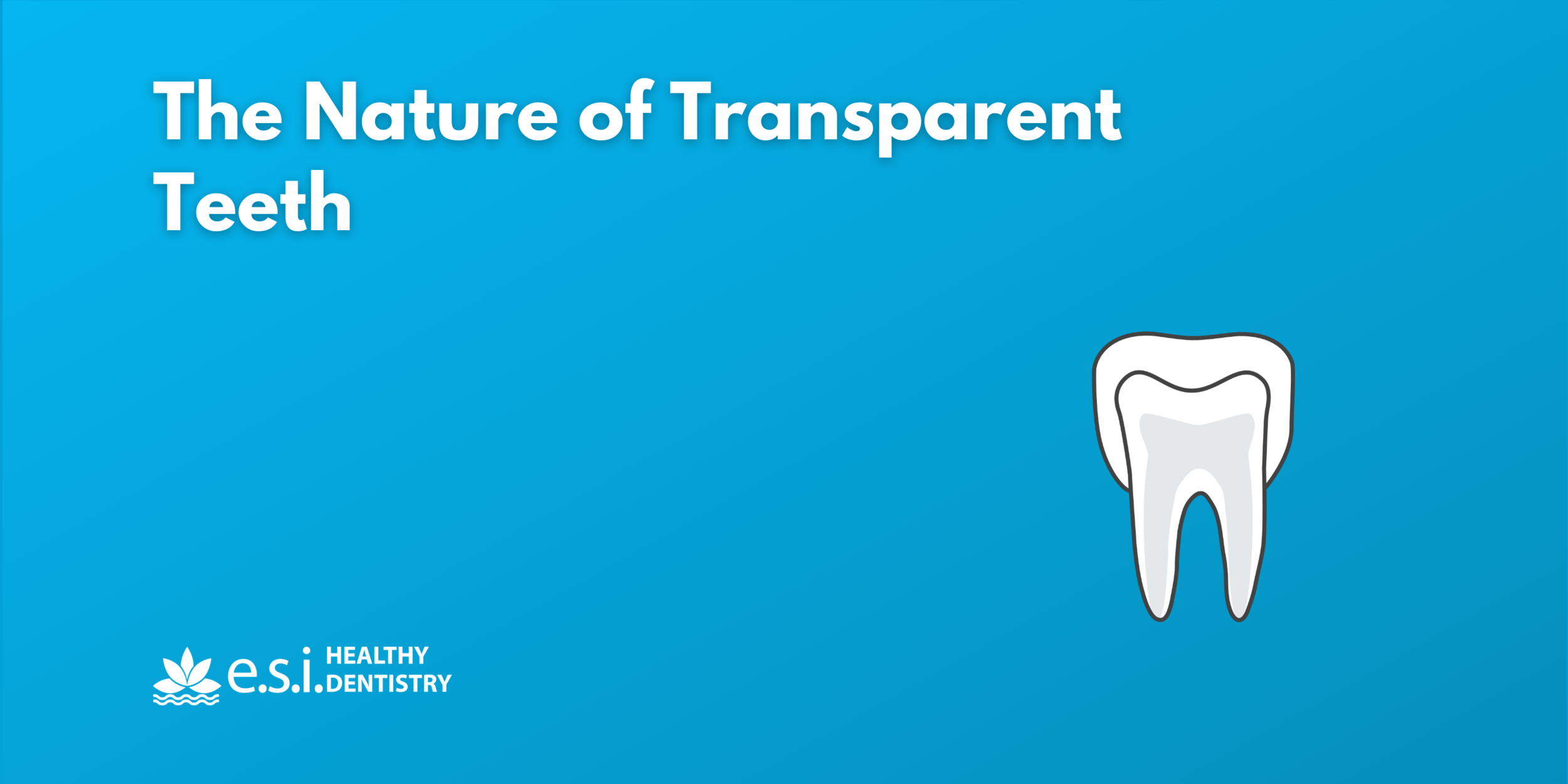 The Nature of Transparent Teeth