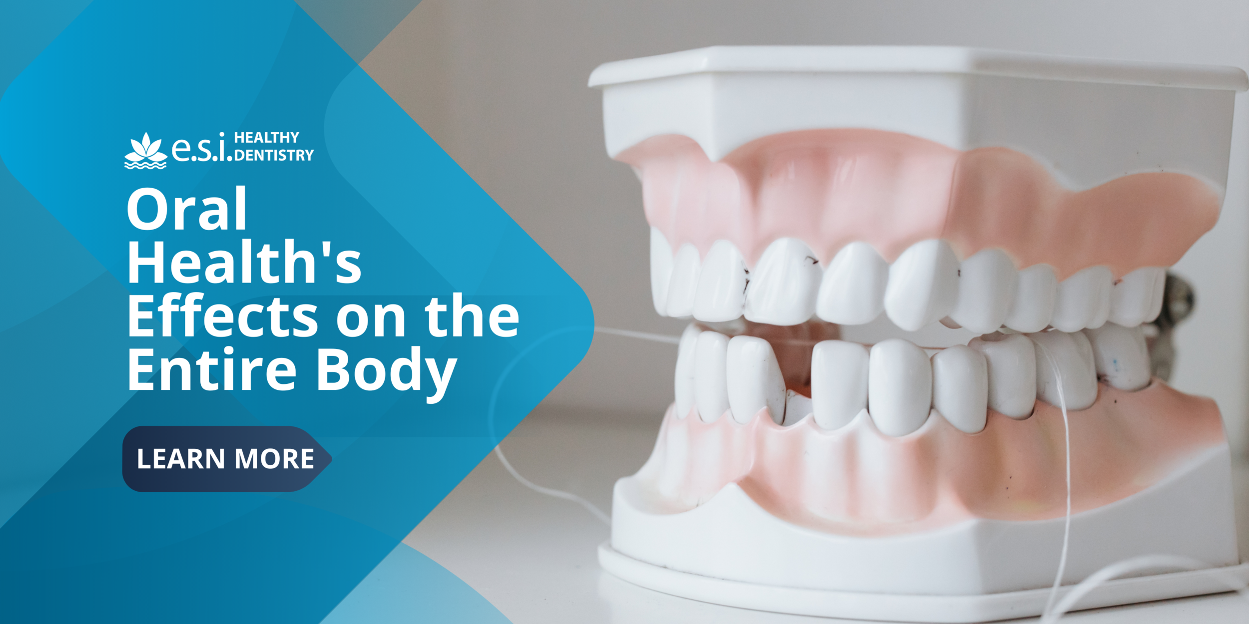 Oral Health's Effects on the Entire Body