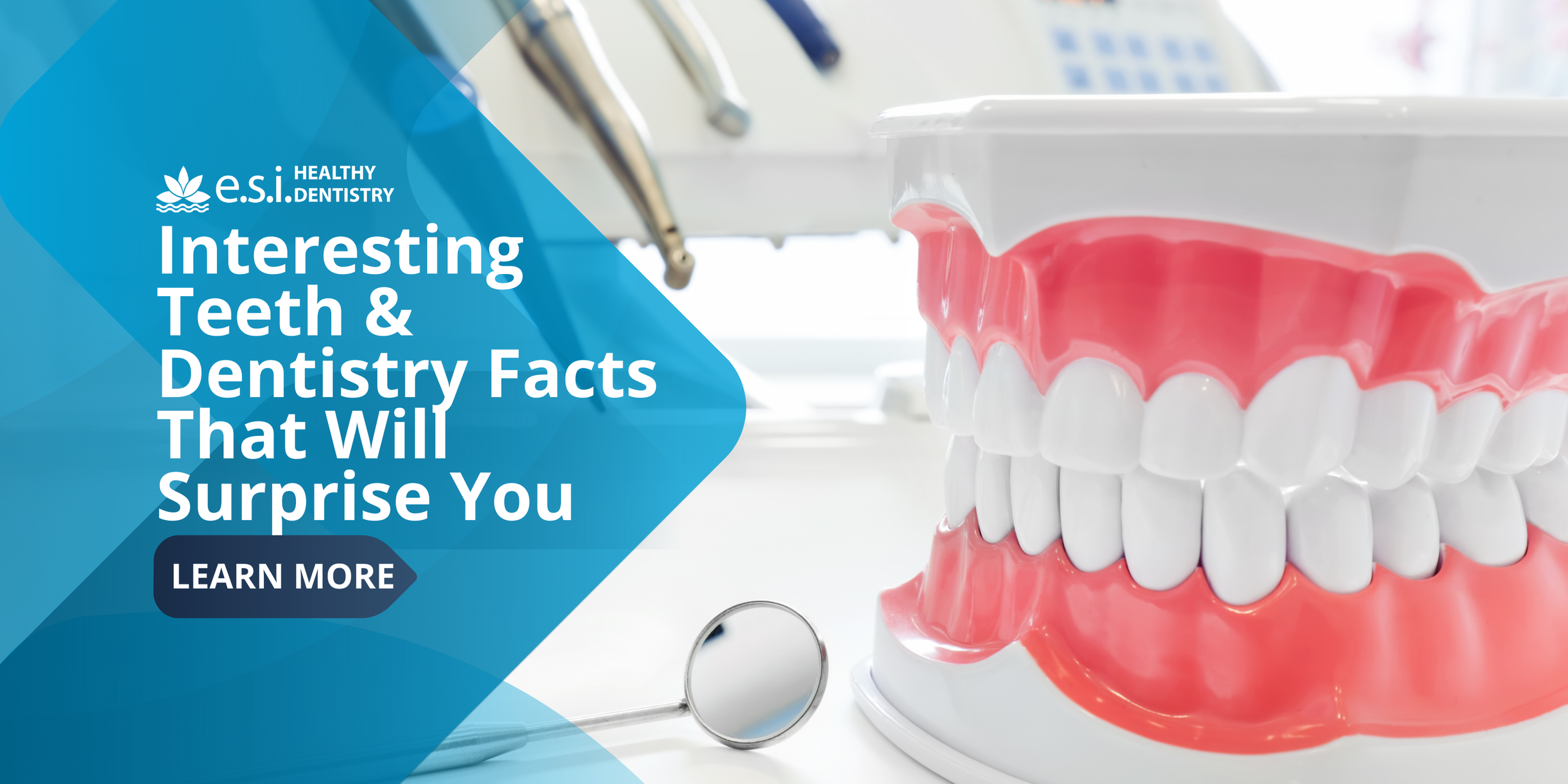 Interesting Teeth and Dentistry Facts That Will Surprise You
