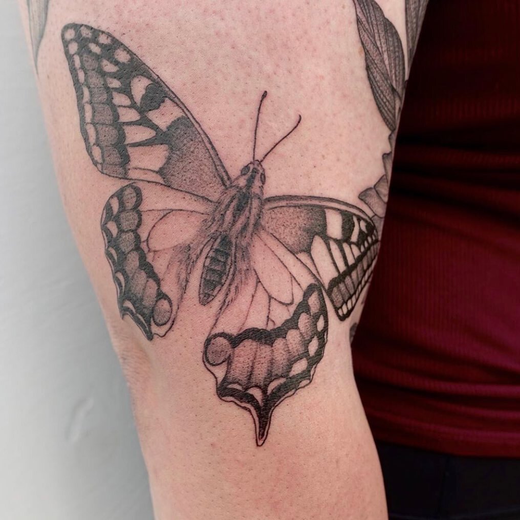 Butterfly by @kevinrotramel #truthandtriumphtattoo