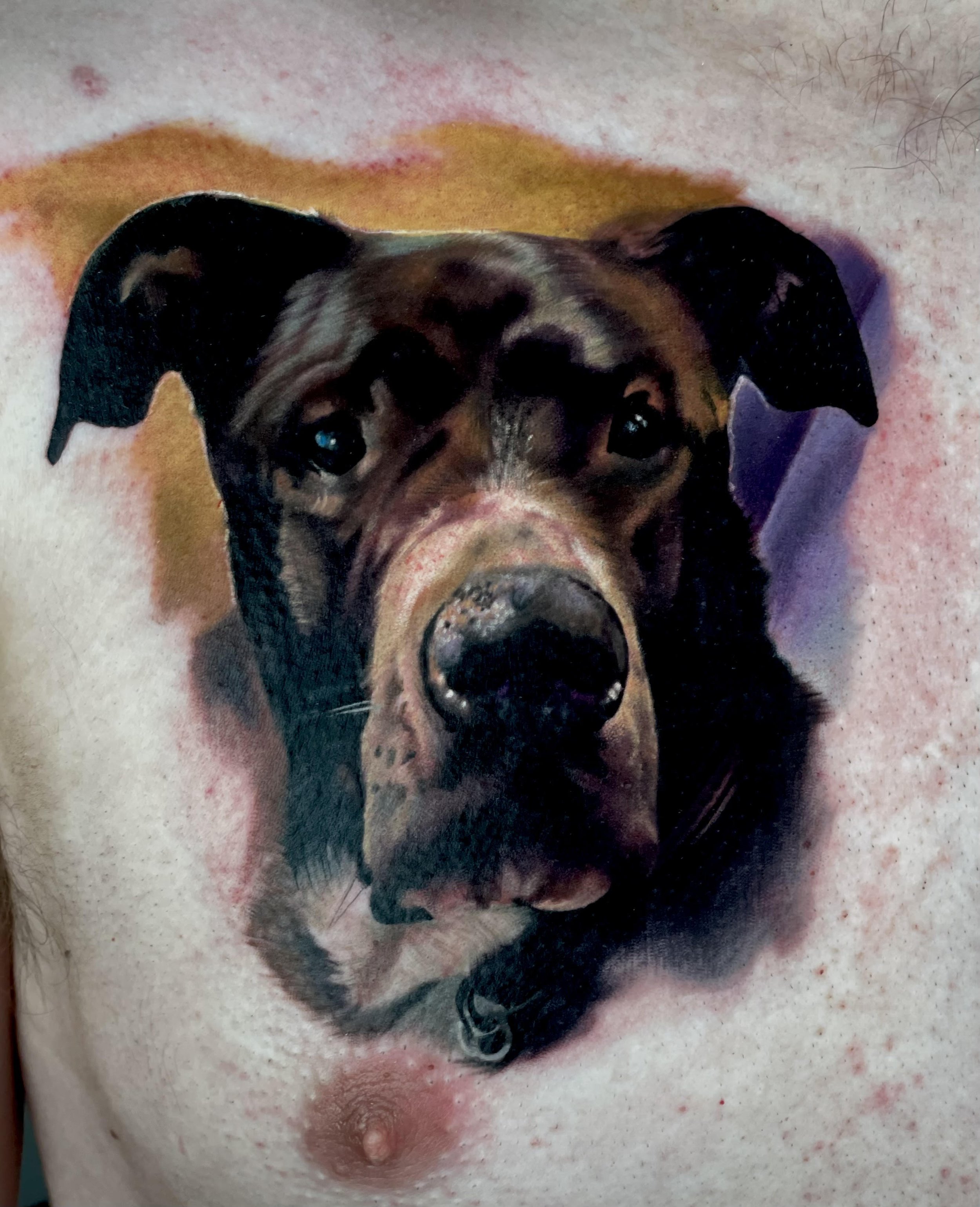 dalmatian' in Dotwork Tattoos • Search in +1.3M Tattoos Now • Tattoodo