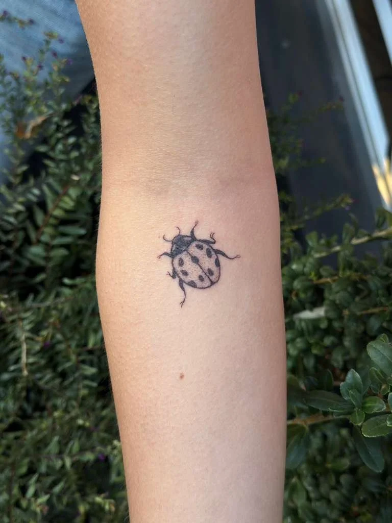 WhatsApp Image 2026-01-23 at 5.15.21 PM (1).jpeg