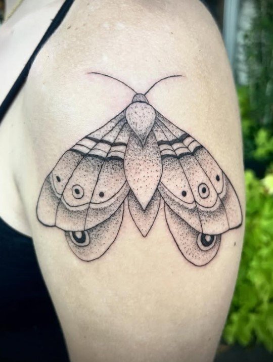 Malachi Freels (Apprentice)