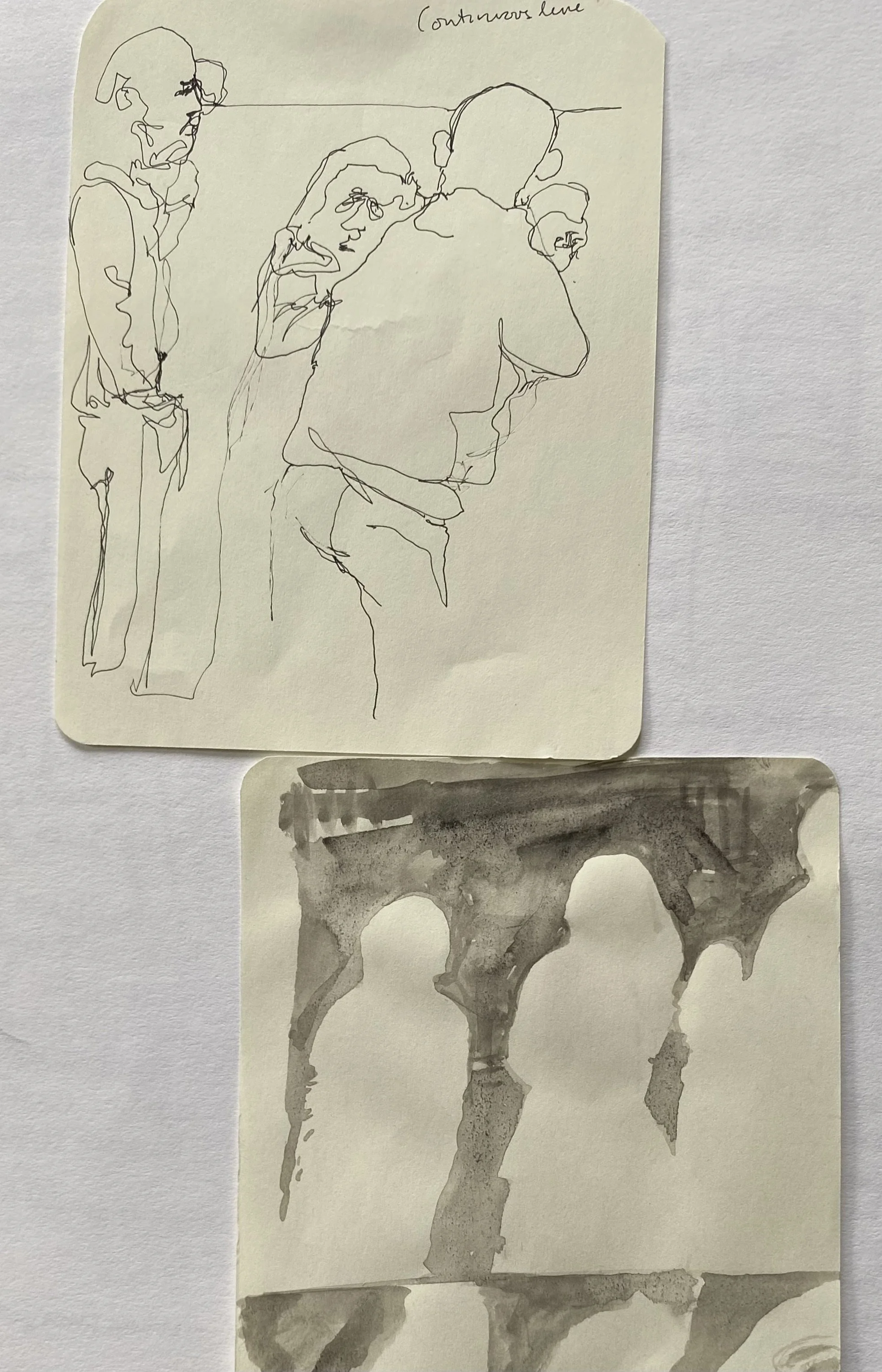 Swan and Mitre present and presence